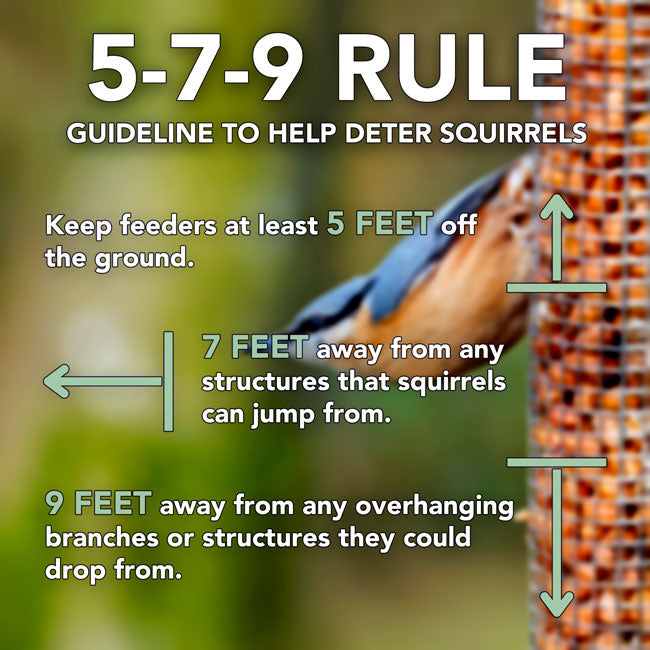 Jelly, Fruit, and Mealworm Feeder