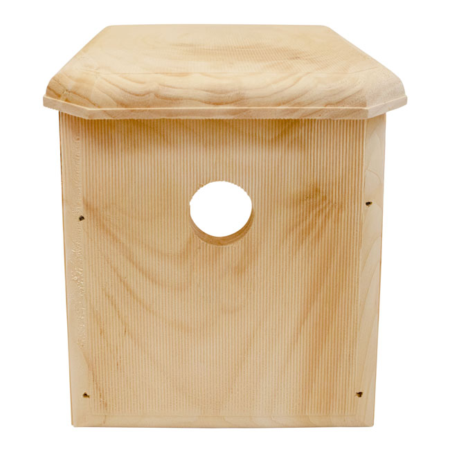 Window Nest Box