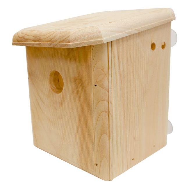 Window Nest Box