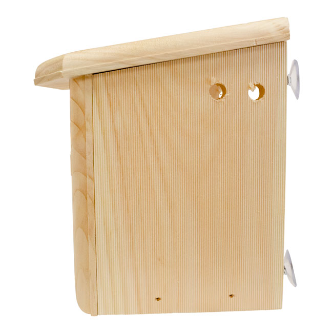 Window Nest Box