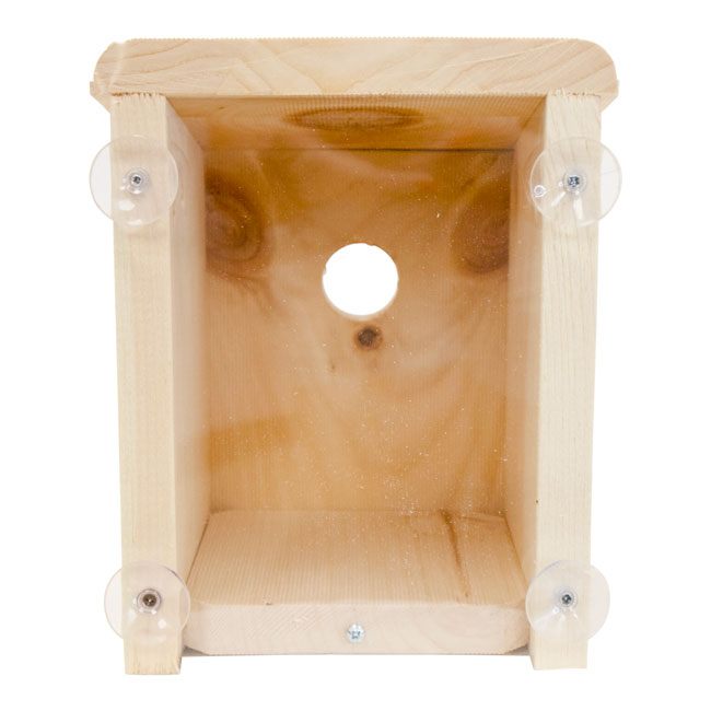 Window Nest Box
