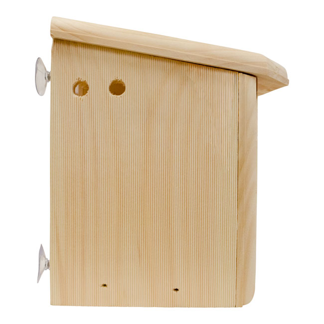 Window Nest Box
