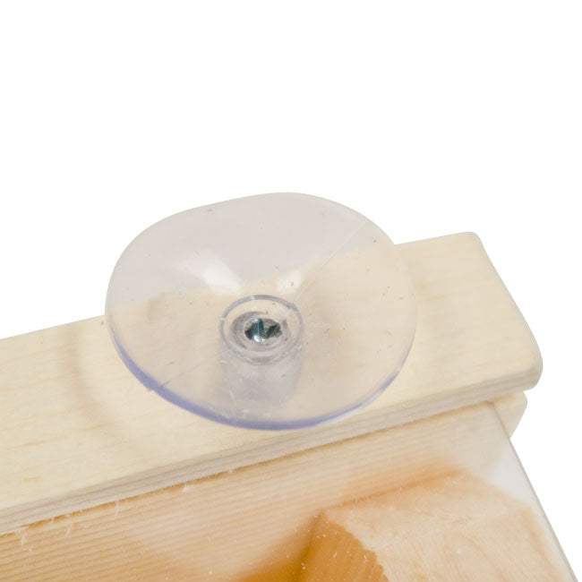 Window Nest Box