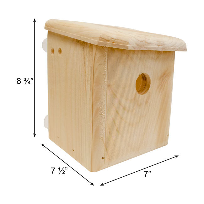 Window Nest Box