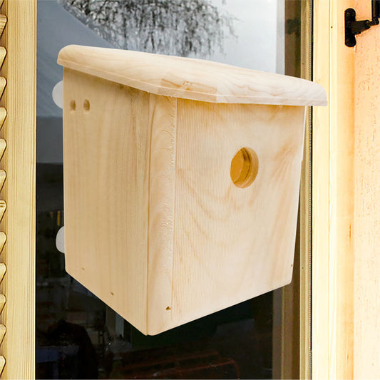Window Nest Box