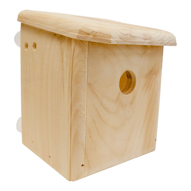 Window Nest Box