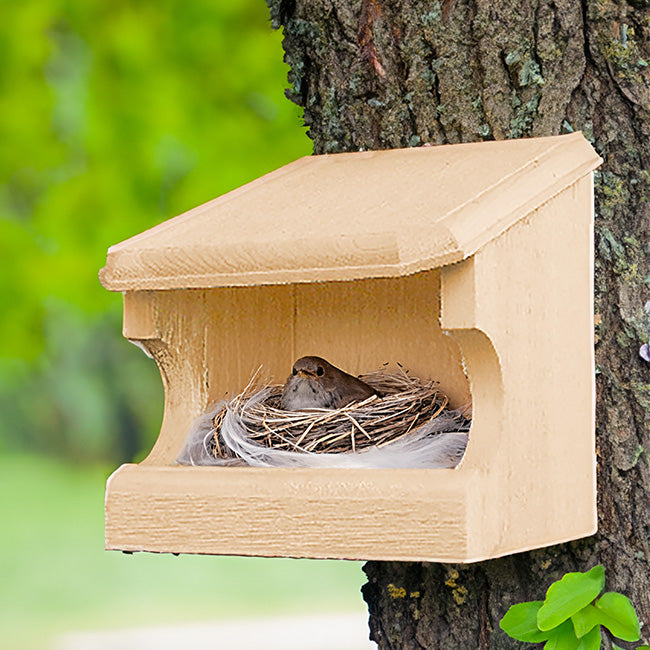 Open Nest Box