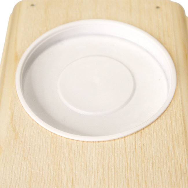 Sparrow-Resistant Bluebird House with Open Top