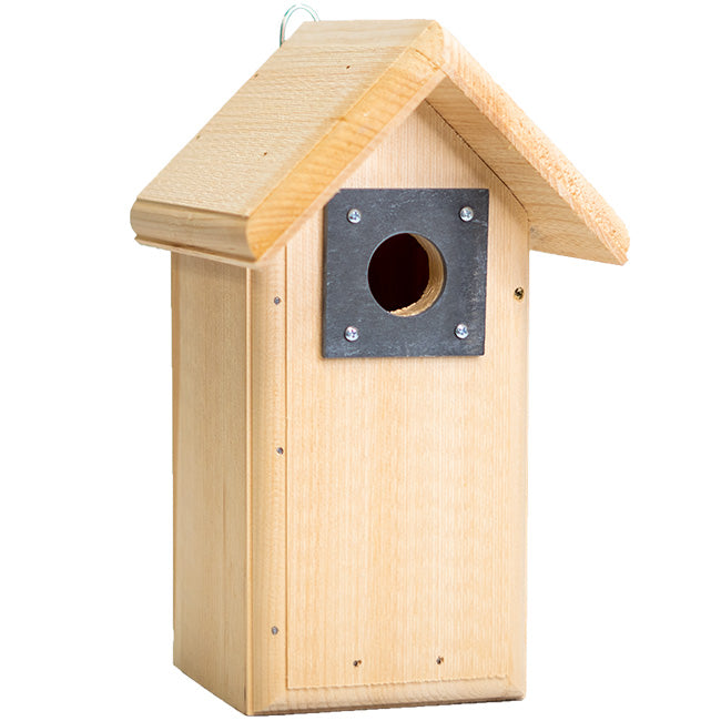 Backyard Bird House