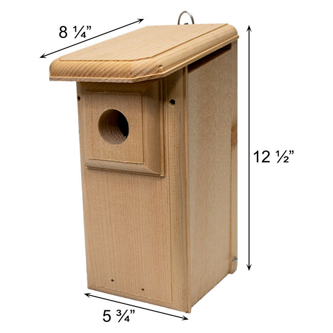 Premium Two-Sided Observation Bluebird House