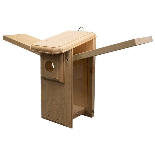 Premium Two-Sided Observation Bluebird House