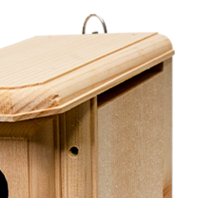 Premium Two-Sided Observation Bluebird House