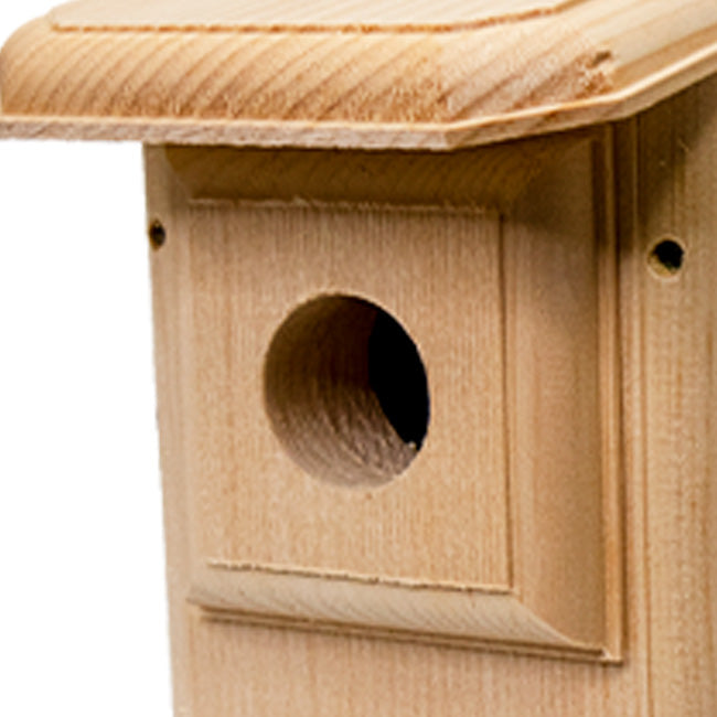 Premium Two-Sided Observation Bluebird House