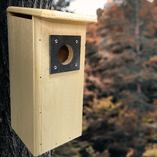 Three Woodpecker House