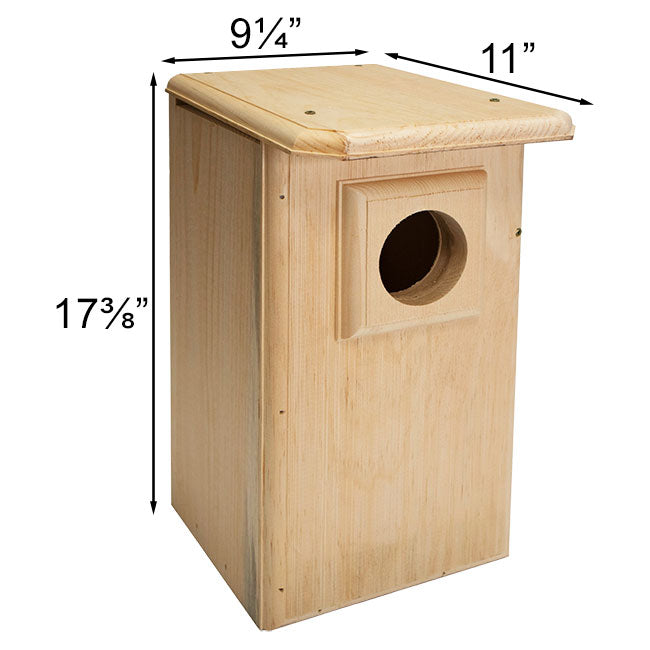 Saw-Whet and Screech Owl House