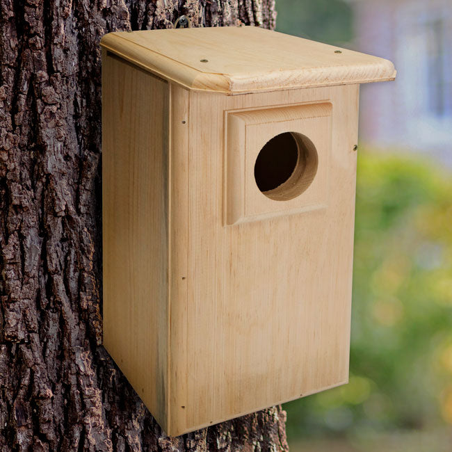 Saw-Whet and Screech Owl House