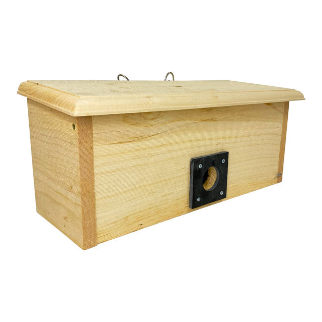Horizontal Winter Roost