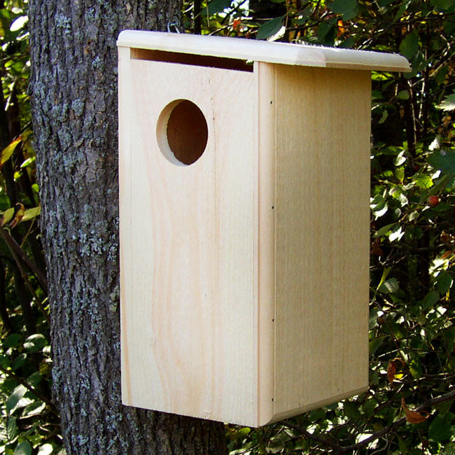 Squirrel House