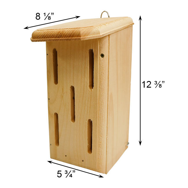 Small Butterfly House