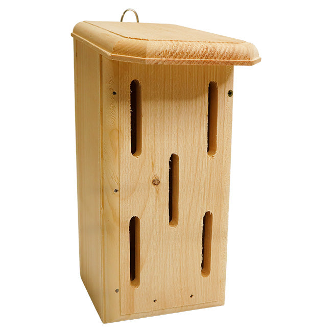 Small Butterfly House