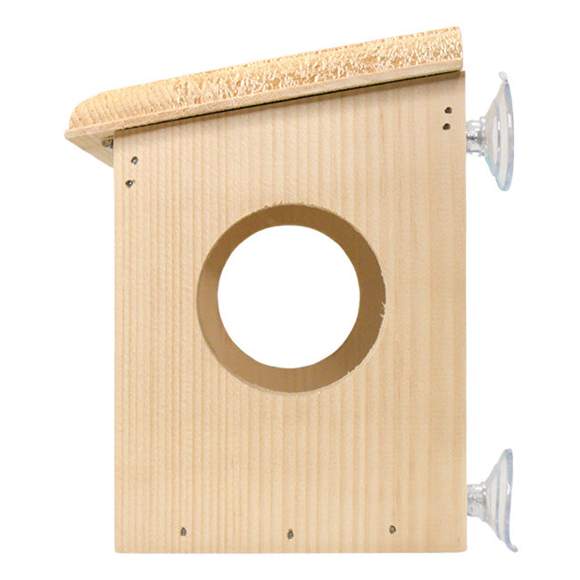 Dual Side Entry Window Bird Feeder