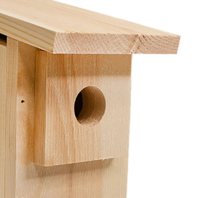 Eastern Bluebird House DIY Kit