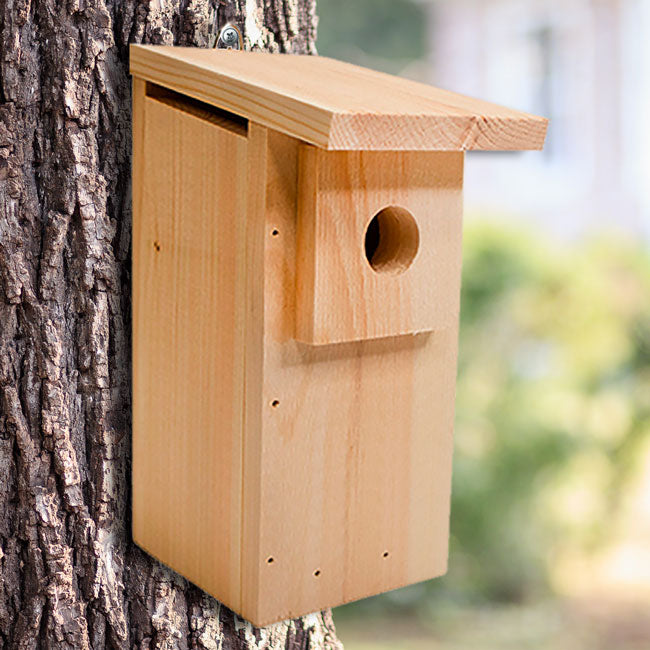 Eastern Bluebird House DIY Kit – Coveside Conservation Products