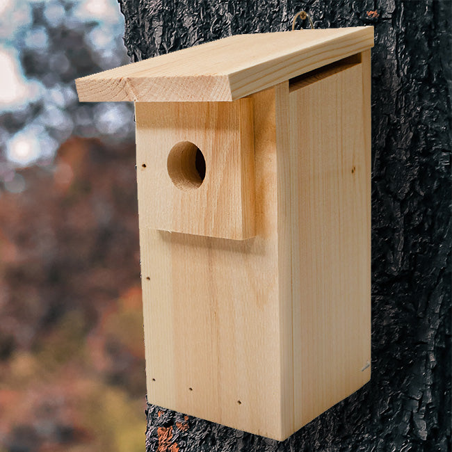 Basic Bluebird Trail Box