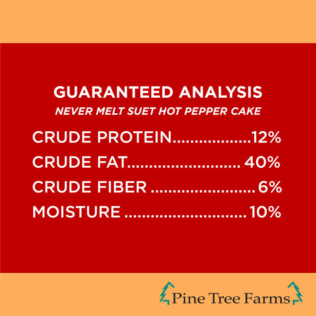 Pine Tree Never Melt Hot Pepper Suet Cakes, 12 oz, 24 Cakes
