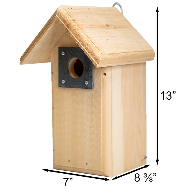 Backyard Bird House