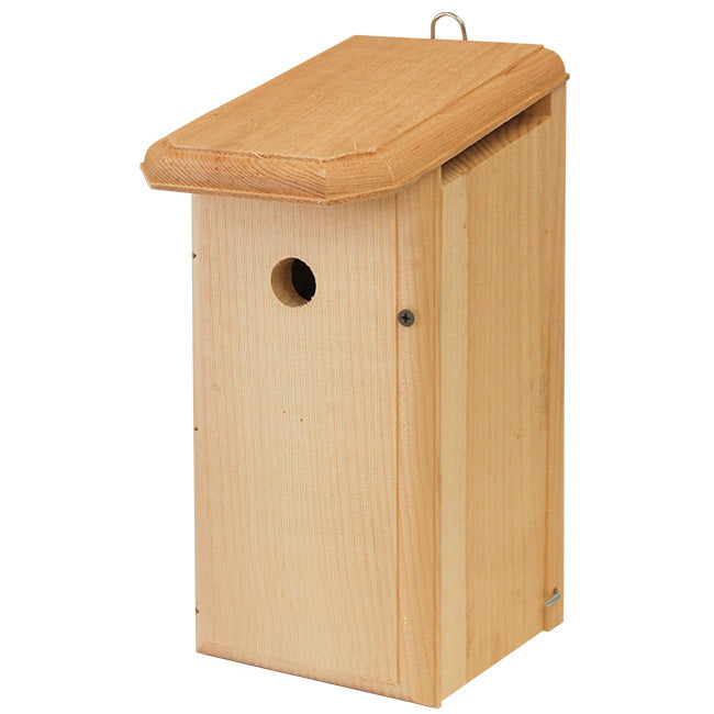 House Wren Bird House