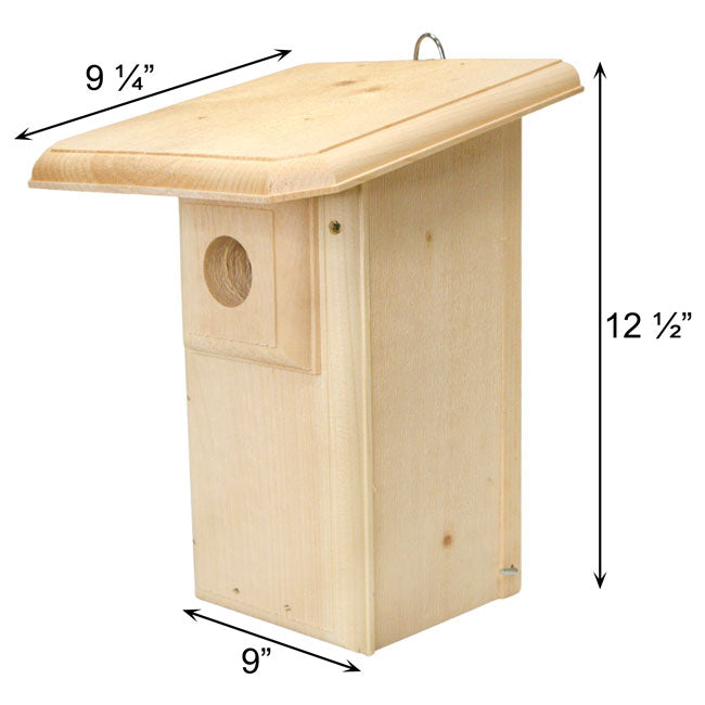 Classic Eastern Bluebird House with Large Roof