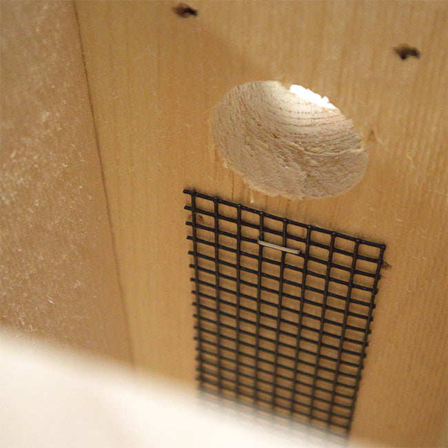 Classic Eastern Bluebird House with Large Roof