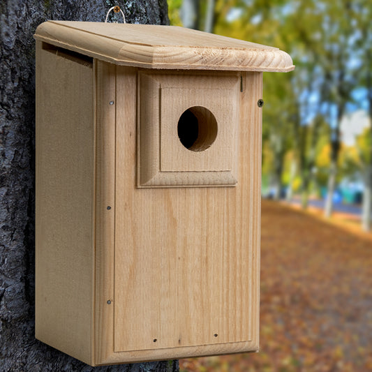 Western Bluebird House