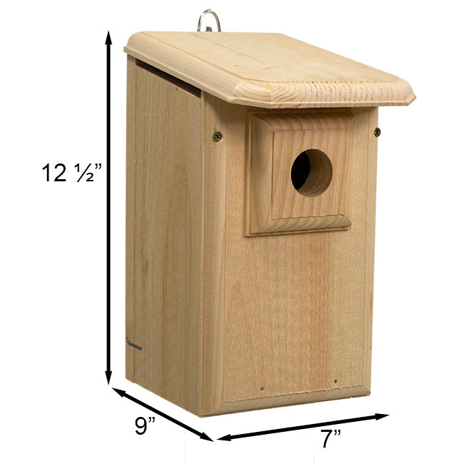 Western Bluebird House with Observation Window