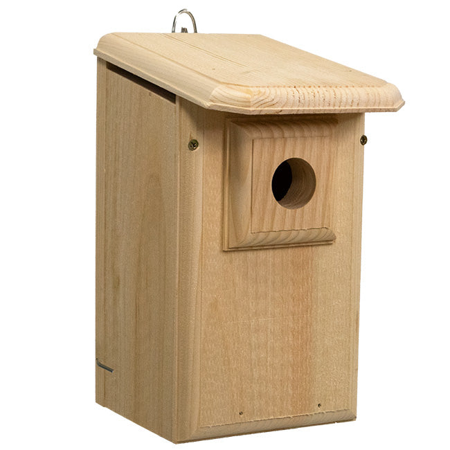 Western Bluebird House with Observation Window