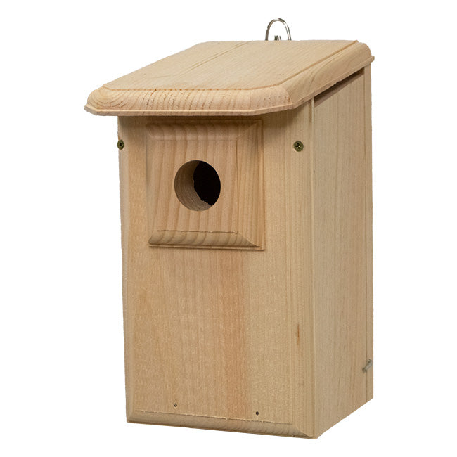 Western Bluebird House with Observation Window