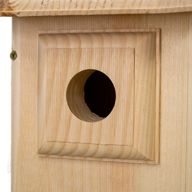 Western Bluebird House with Observation Window