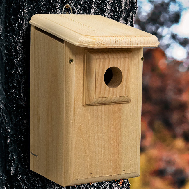 Western Bluebird House with Observation Window