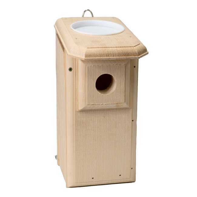 Open-Top Eastern Bluebird House