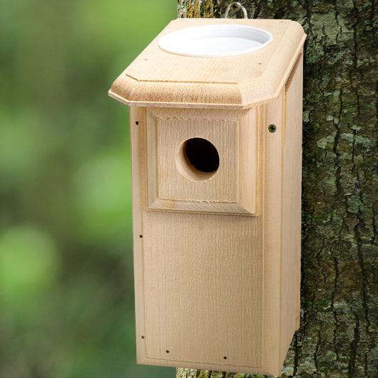 Open-Top Eastern Bluebird House
