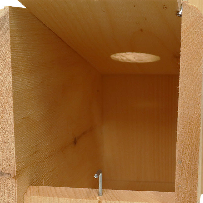 Starling Resistant Flicker House