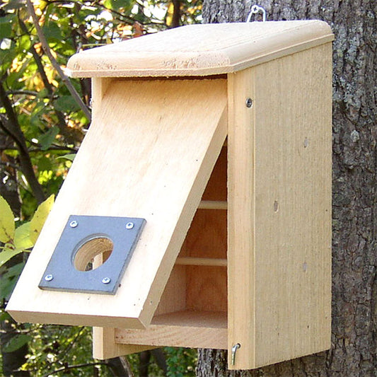 Convertible Bird House/Winter Roost