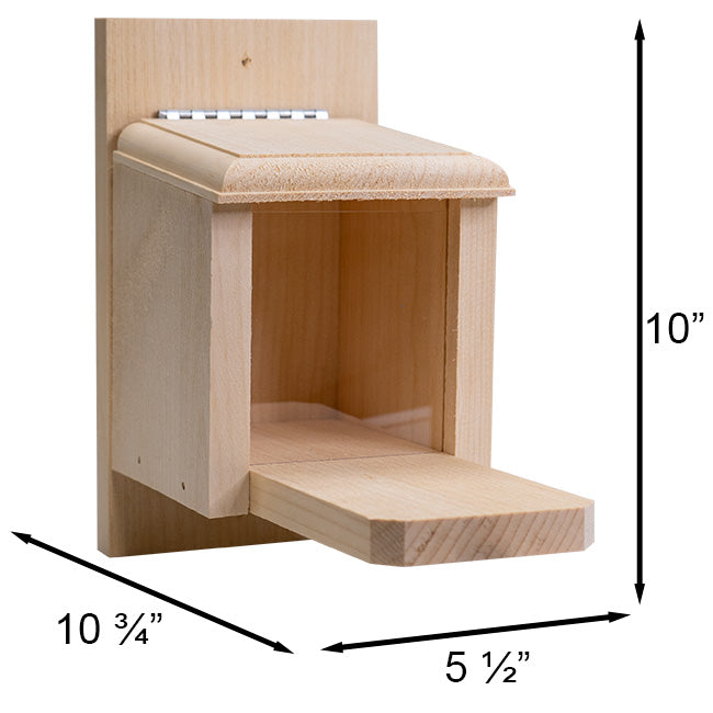 Peanut Box Squirrel Feeder