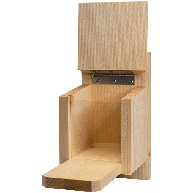 Peanut Box Squirrel Feeder