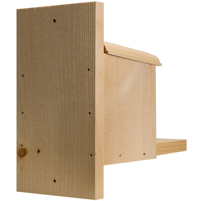 Peanut Box Squirrel Feeder