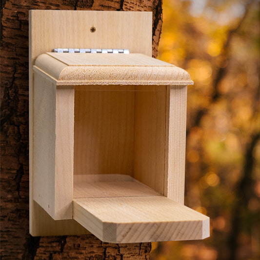 Peanut Box Squirrel Feeder