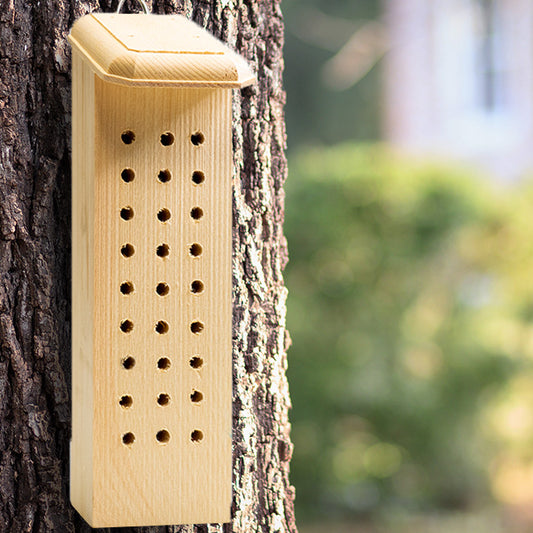 Solitary Bee House