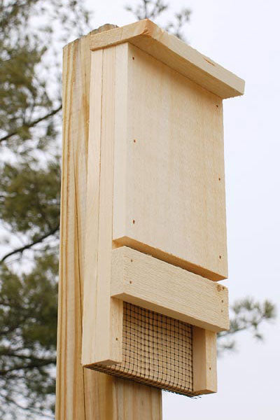 Bat House Kit, 12 bats