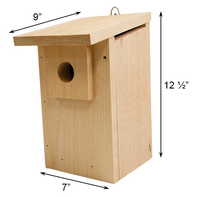 Western Bluebird House DIY Kit